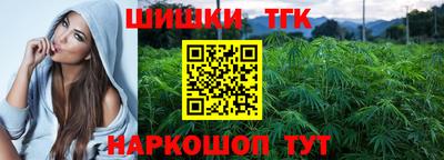 прущие грибы Малгобек