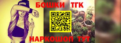 прущие грибы Малгобек