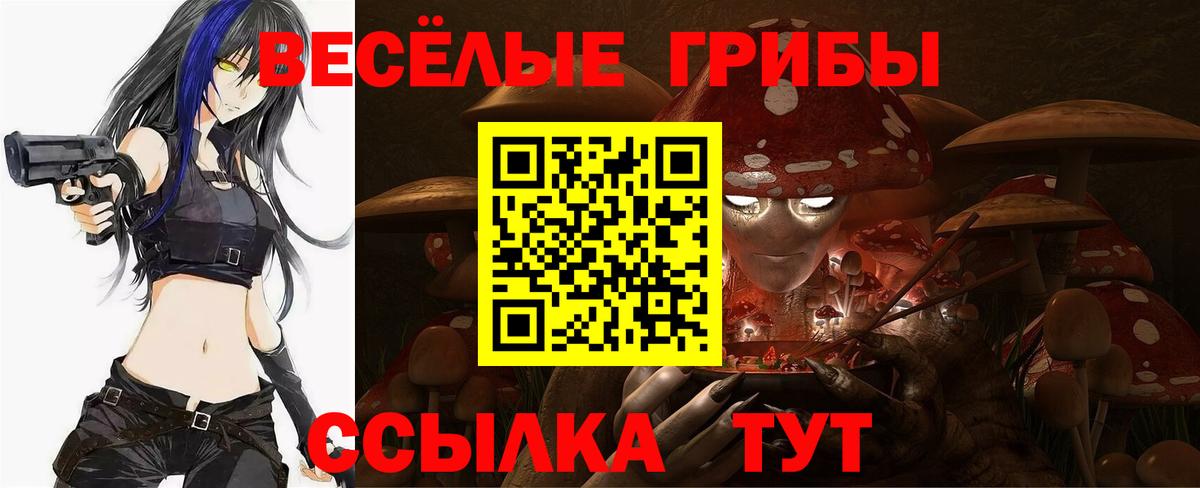 закладки  Псилоцибиновые грибы ЛСД  Вход с VPN  Домодедово 